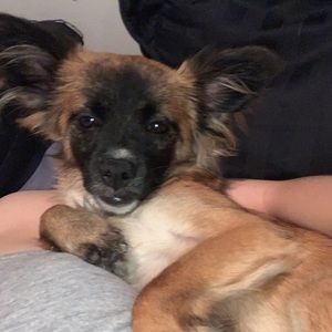 Meet your Posher, Destiny